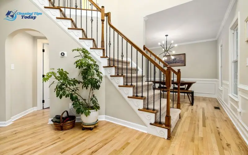 Cleaning Solutions