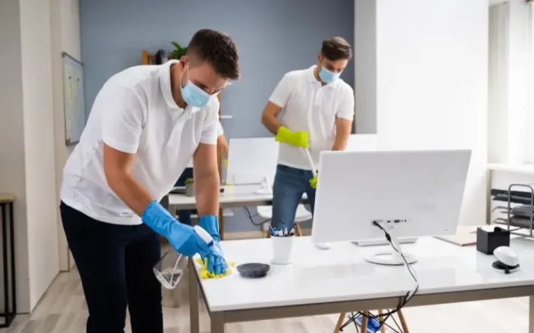 Professional Cleaning Services