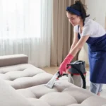 Professional Couch Cleaning Services