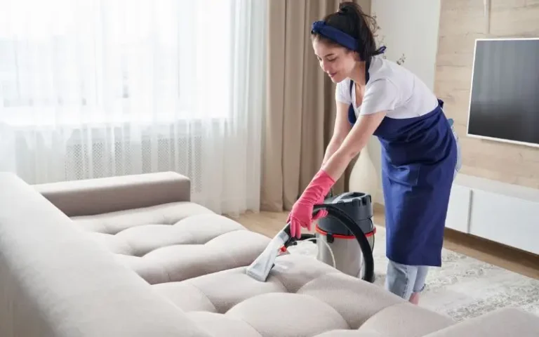 Professional Couch Cleaning Services
