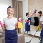 living room cleaning service