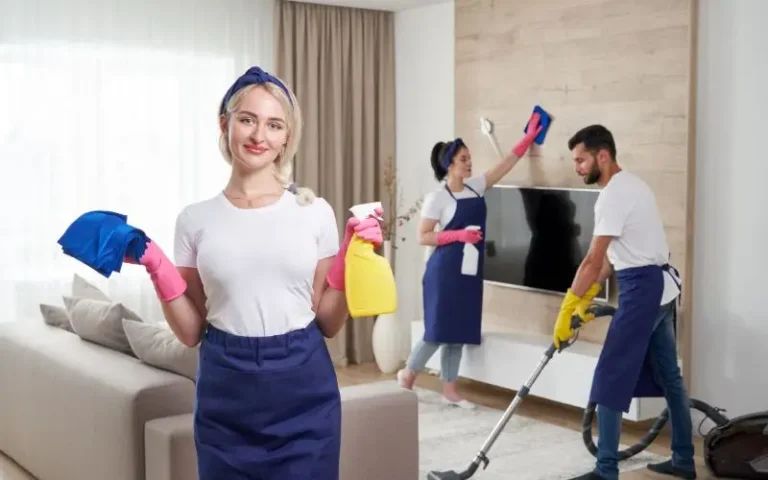 living room cleaning service