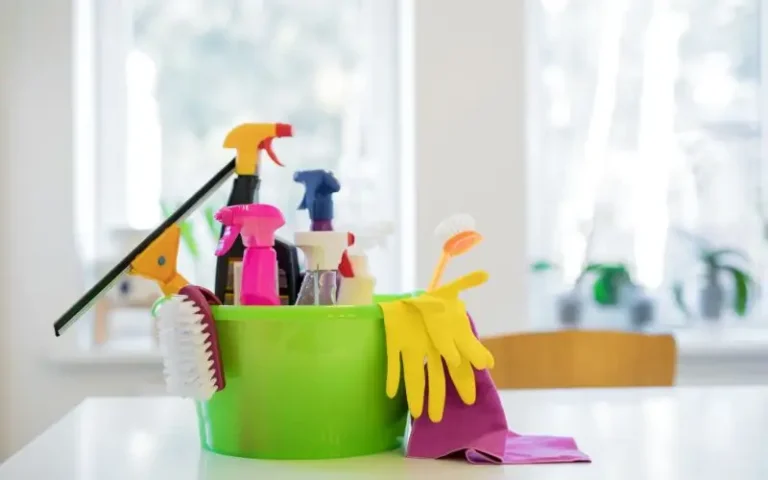 Cleaning Service