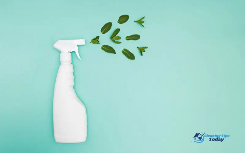 - Cleaning Tips Today Green Cleaning