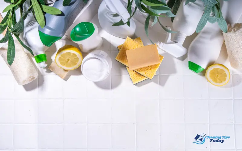Organic Cleaning Products