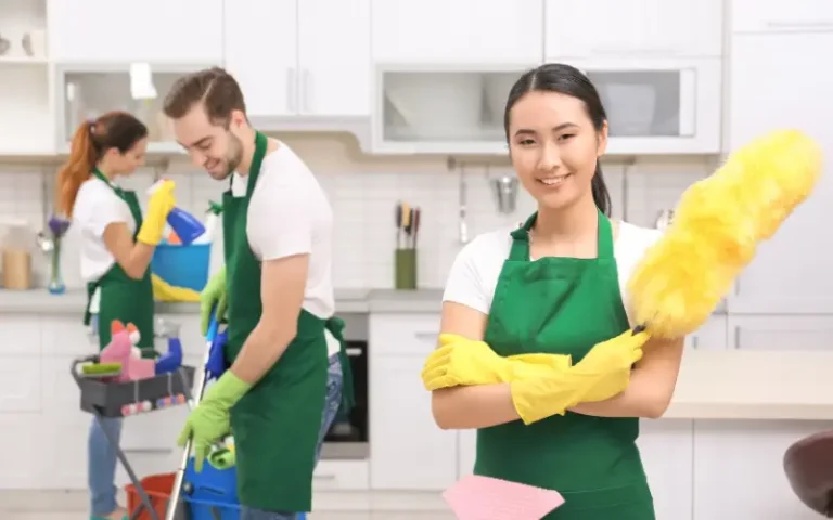 Professional Cleaners