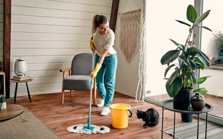 House Cleaning Service