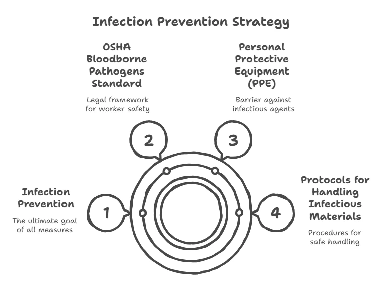 Infection Prevention Strategy