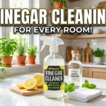 DIY Vinegar Cleaning Solutions for Every Room