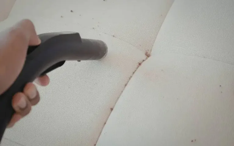 Pro Tips for Effective Stain Removal