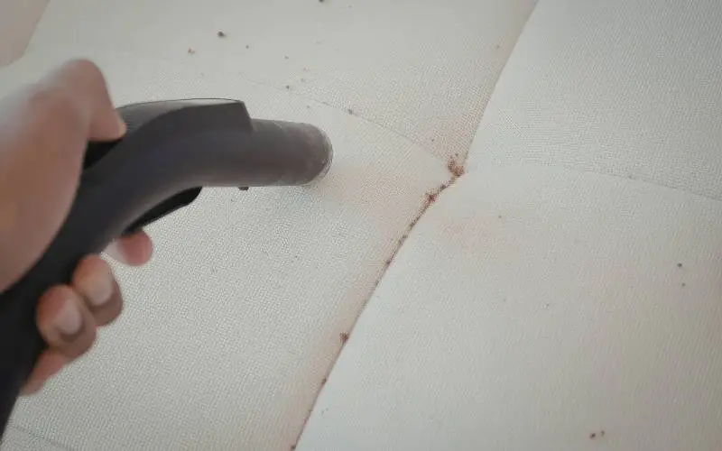 Pro Tips for Effective Stain Removal