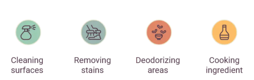 3-1 - Cleaning Tips Today Four circular icons with pastel backgrounds: 1) spice shaker releasing aroma, 2) loaf with a knife, 3) cup with leaves, 4) wine bottle; likely features of a menu or benefits (text not readable).